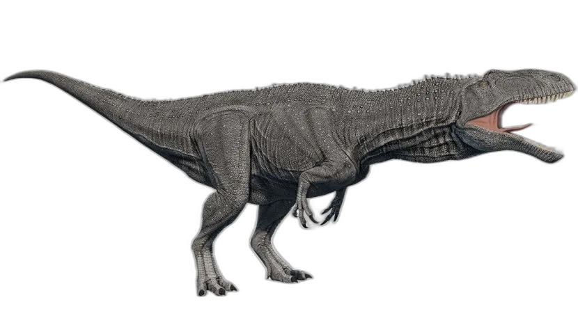Giganotosaurus Dinosaur Model