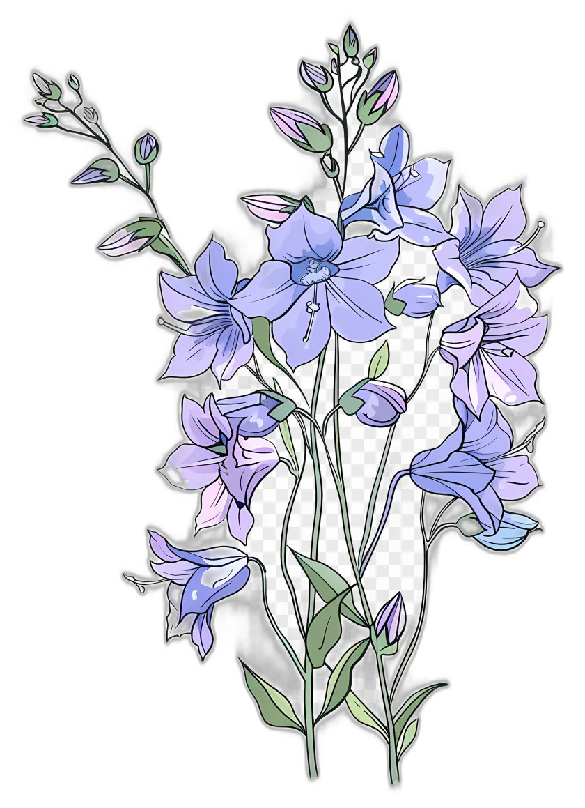 Purple Bellflowers Cluster