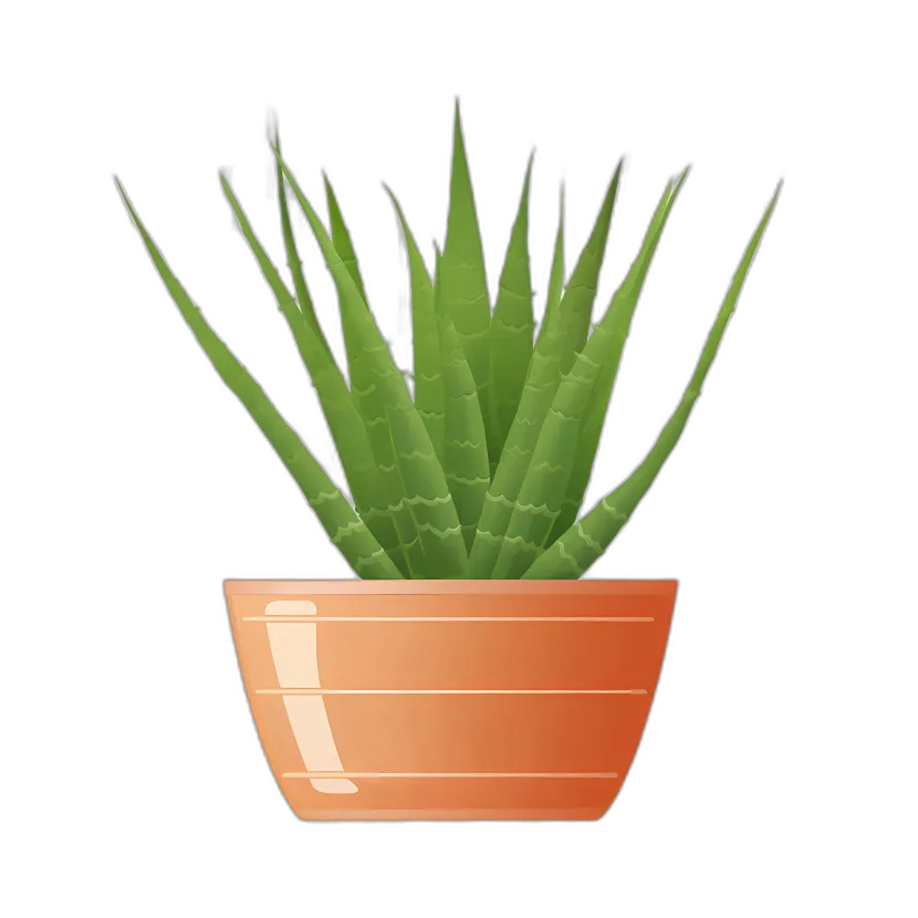 Potted Aloe Vera Plant
