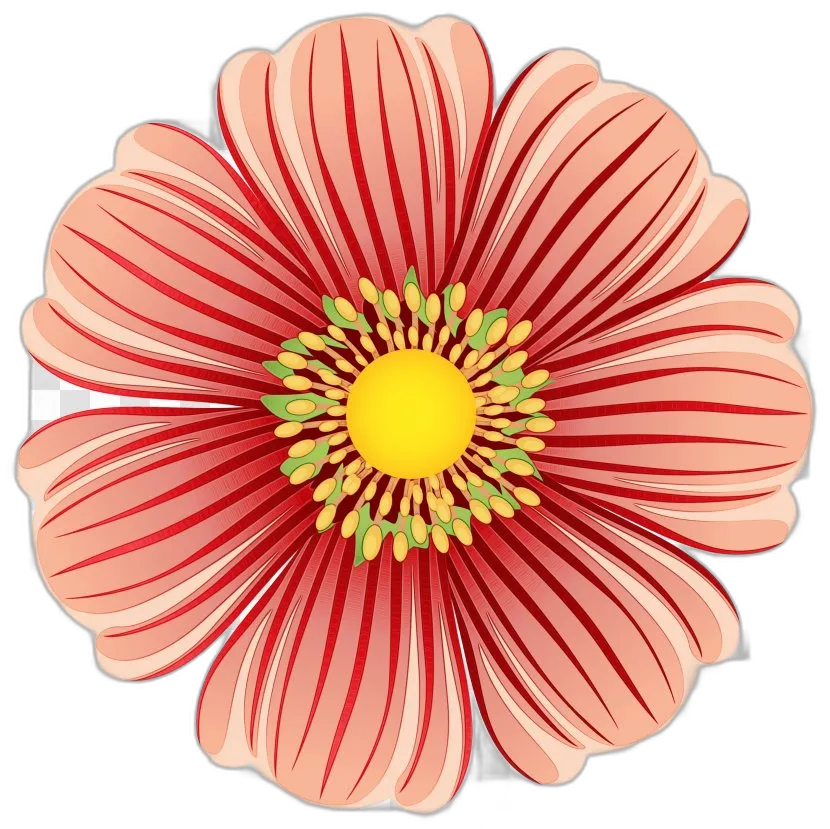 Stylized Gazania Flower