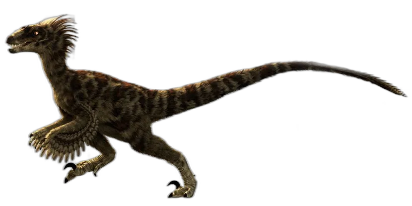 Feathered Dinosaur Raptor