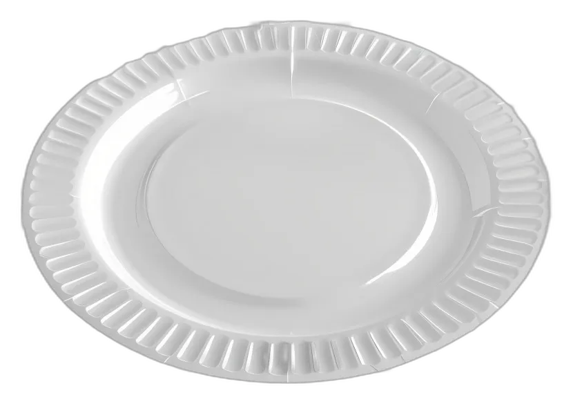 Disposable Paper Plate