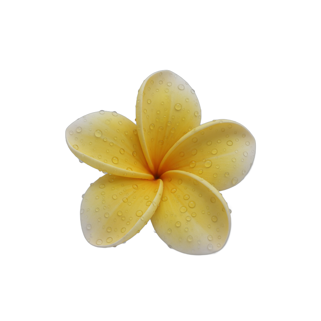 Dewy Yellow Plumeria Flower