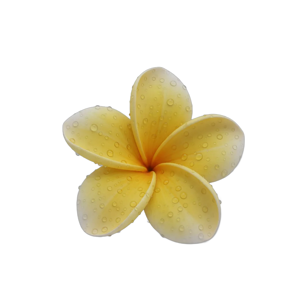 Dewy Yellow Plumeria Flower