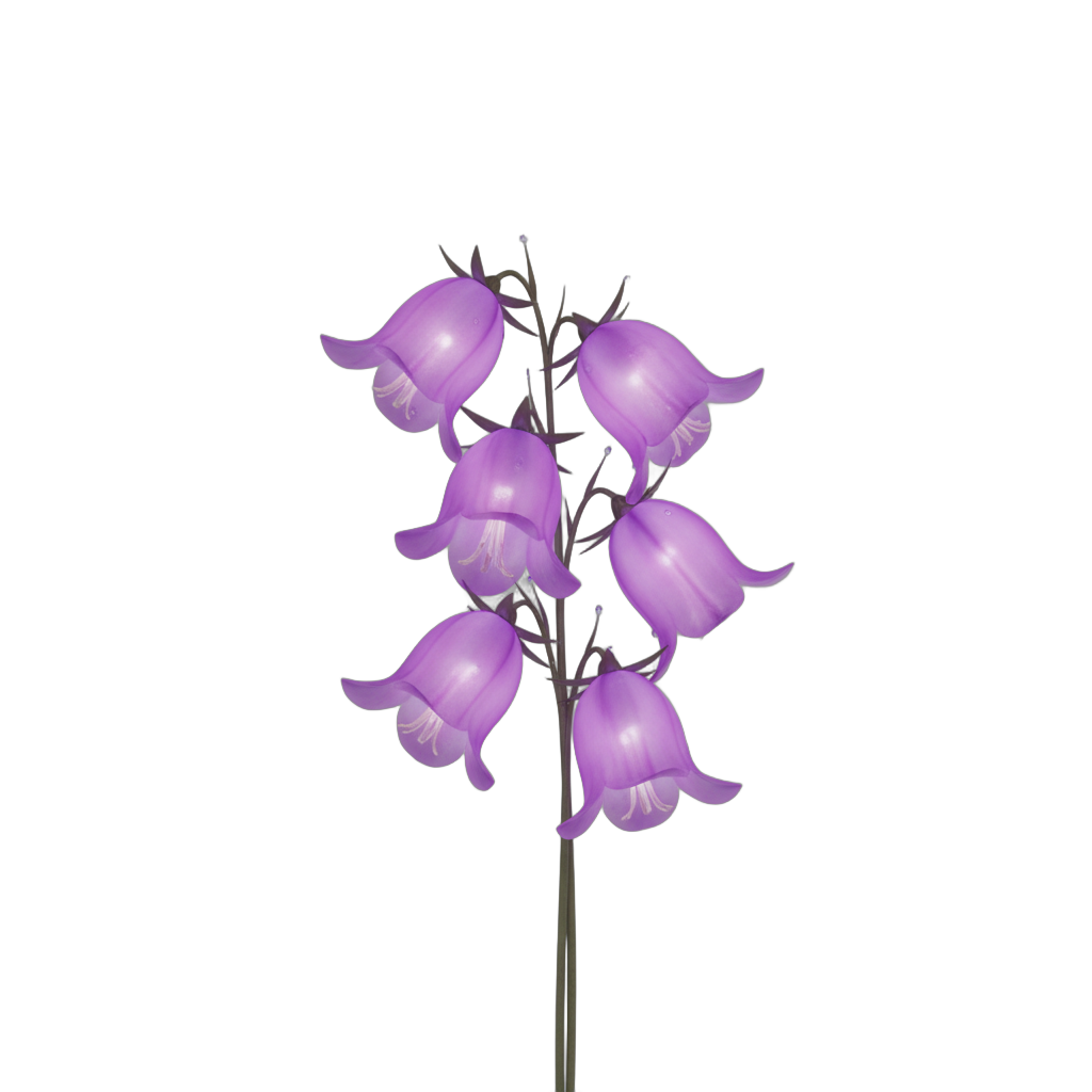Glowing Purple Bellflowers
