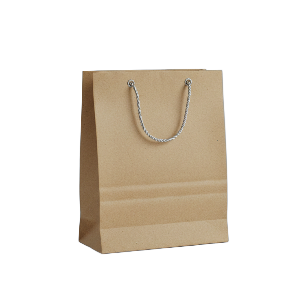 Brown Kraft Paper Shopping Bag