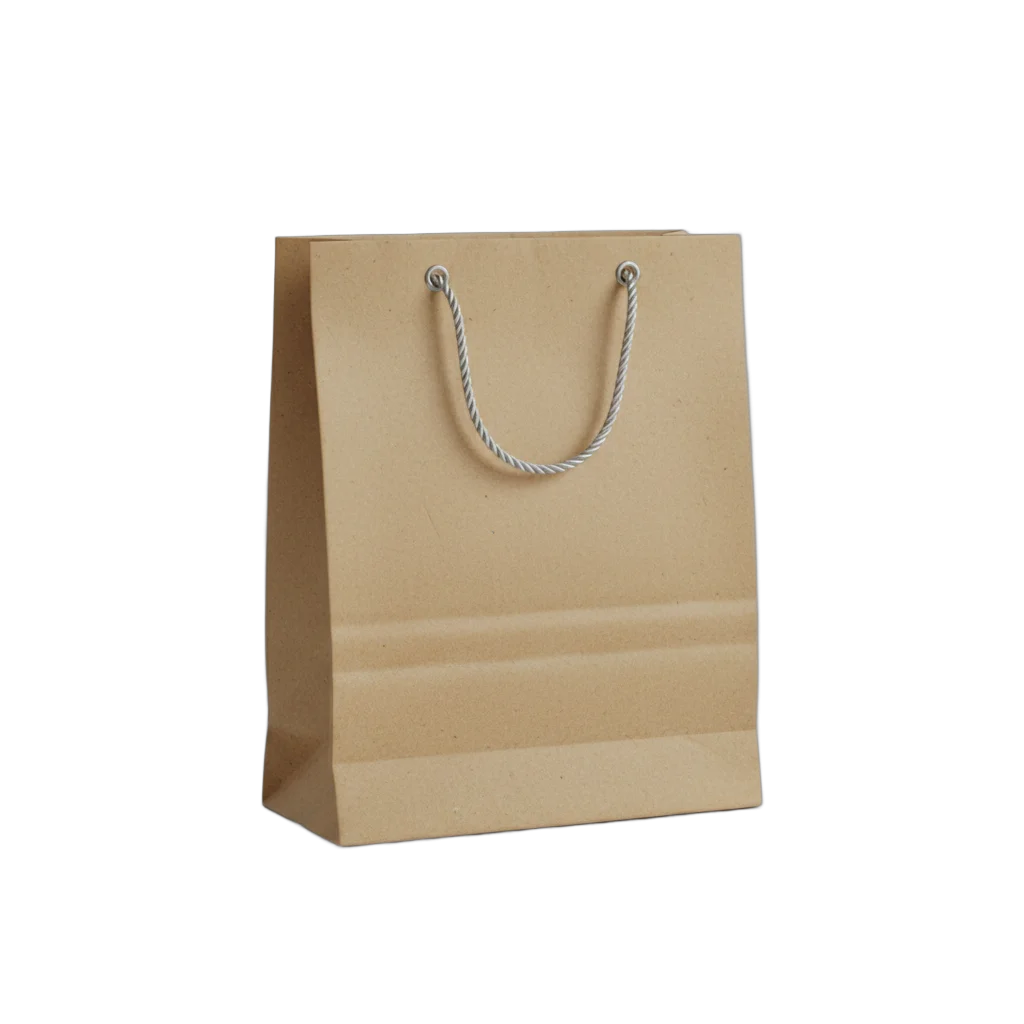 Brown Kraft Paper Shopping Bag