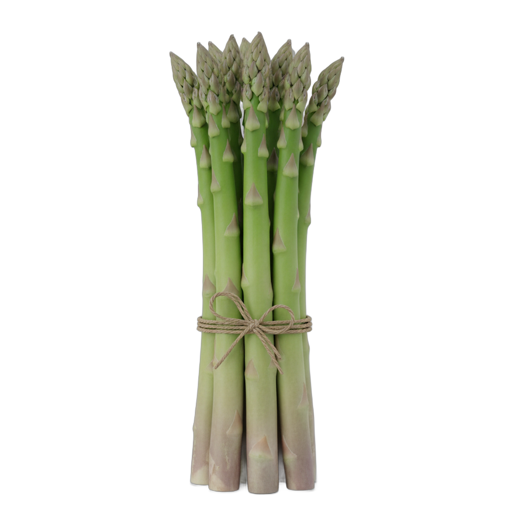 Fresh Asparagus Bundle