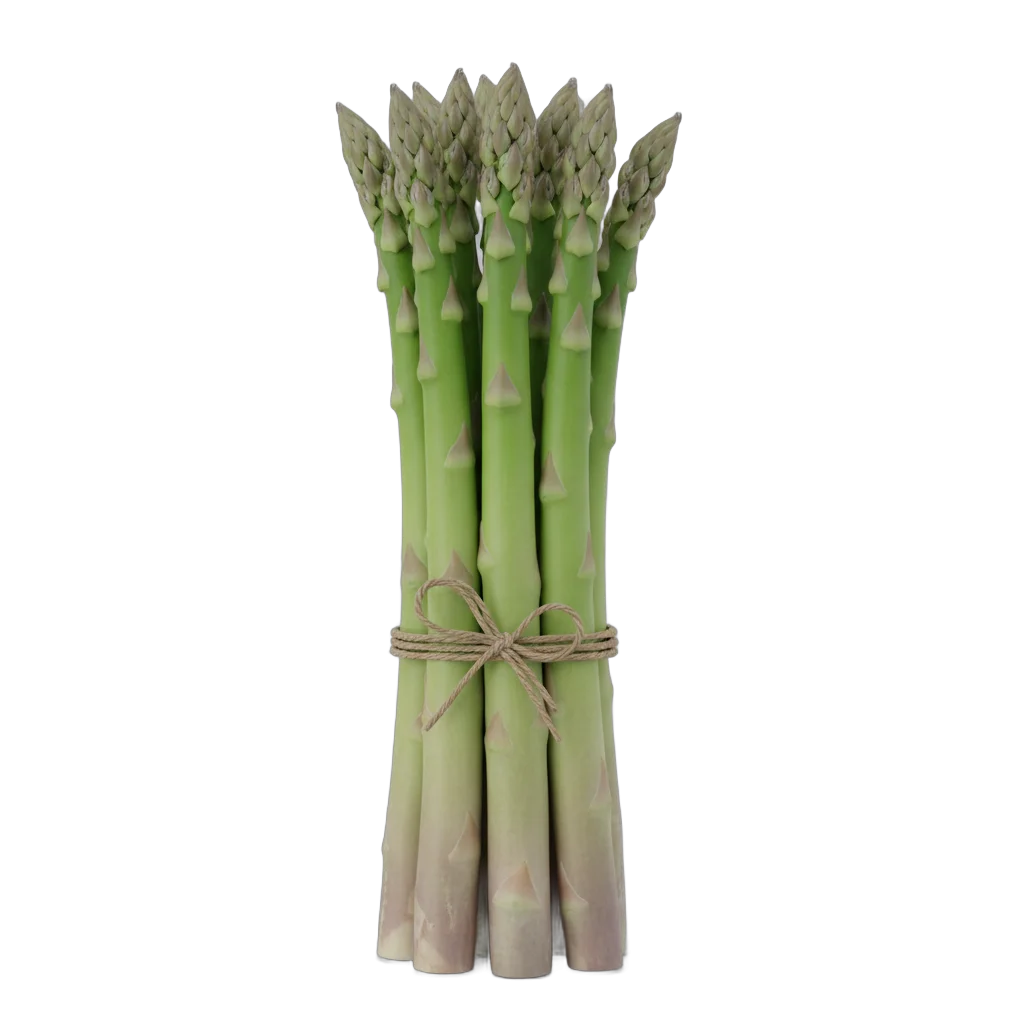 Fresh Asparagus Bundle