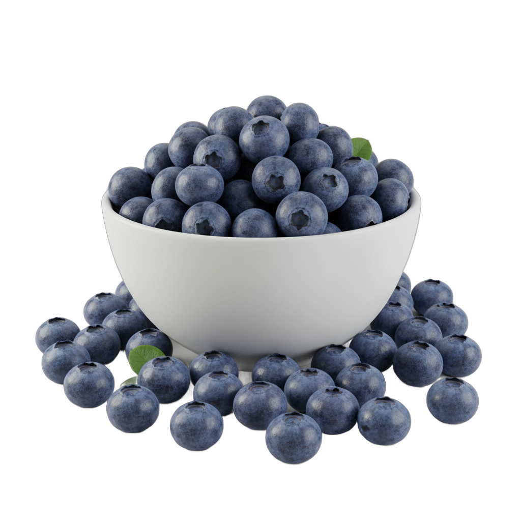 Bowl of Fresh Blueberries