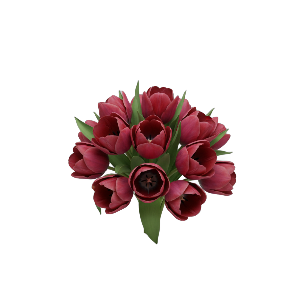 Realistic Crimson Tulip Bouquet