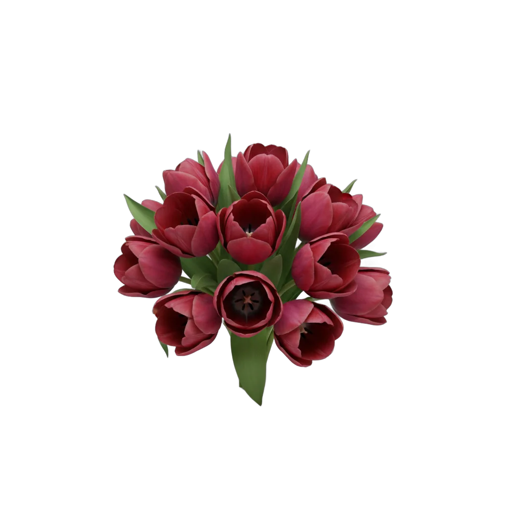 Realistic Crimson Tulip Bouquet