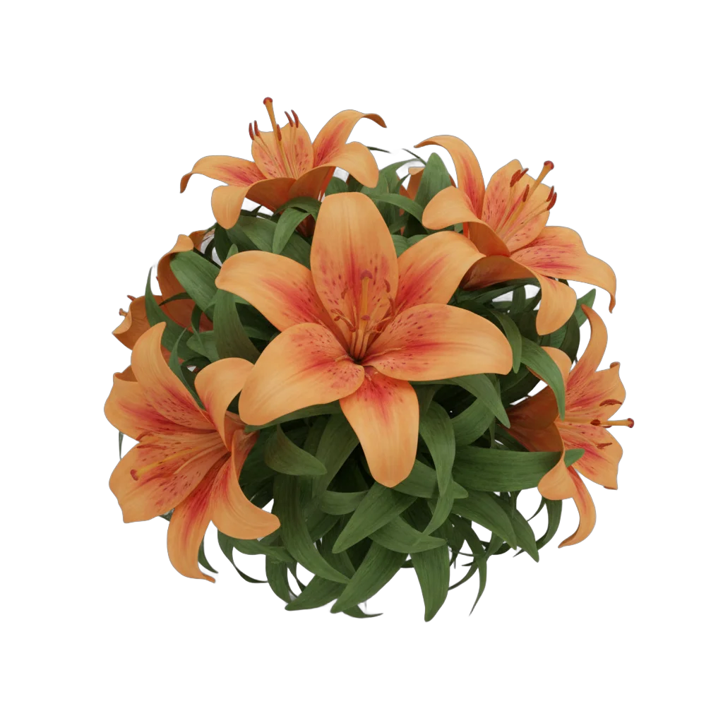 Orange Lilies with Foliage