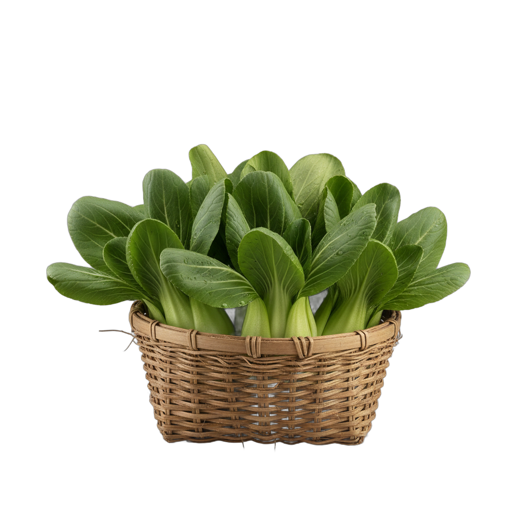 Fresh Bok Choy in Basket
