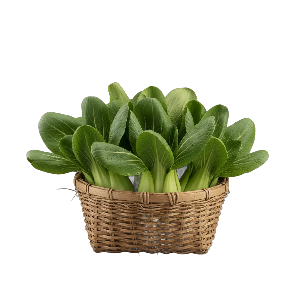 Fresh Bok Choy in Basket