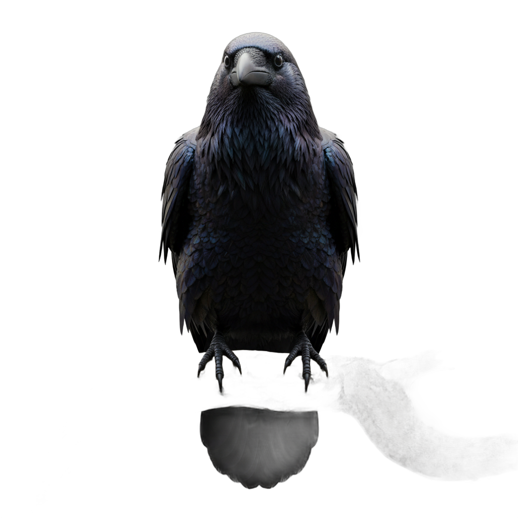 Realistic Perched Raven