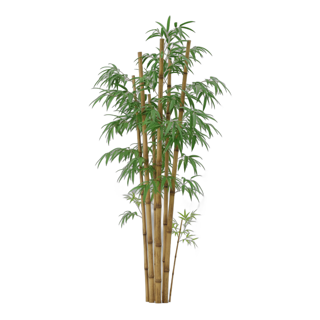 Bamboo Stalks with Leaves