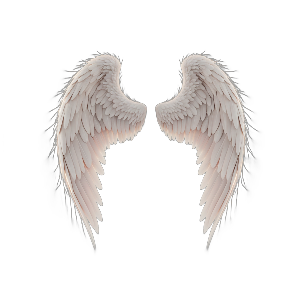 Stylized Angel Wings