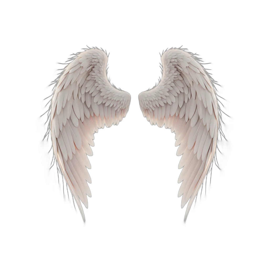 Stylized Angel Wings