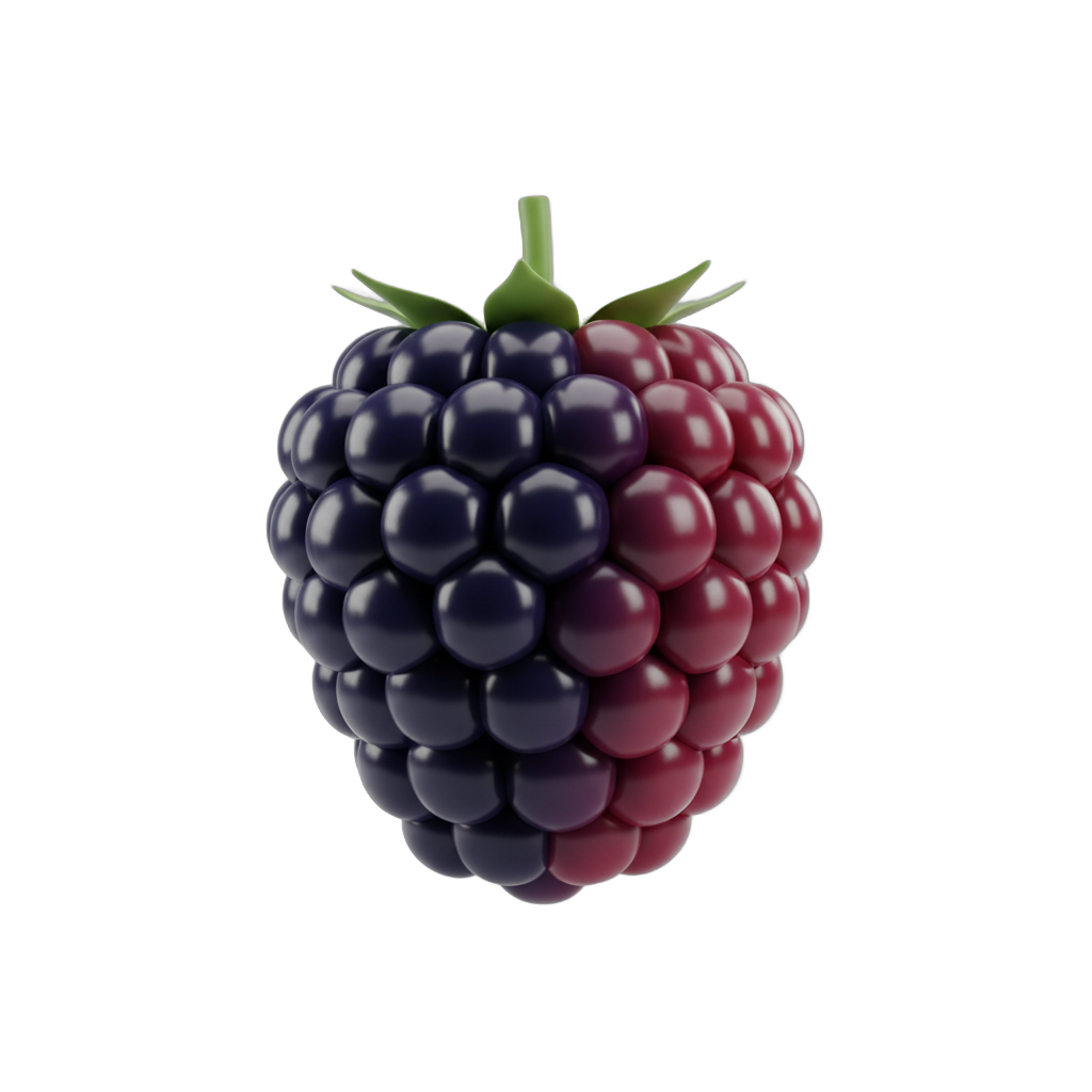 Stylized Blackberry Fruit
