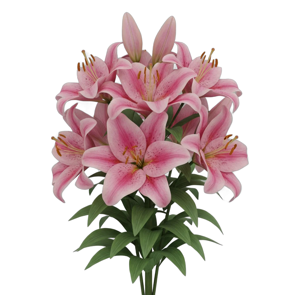Pink Lily Flower Arrangement