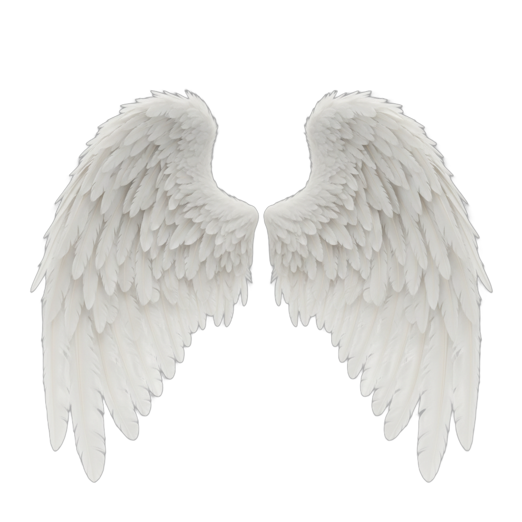 Angel Wings Detailed White Feathers