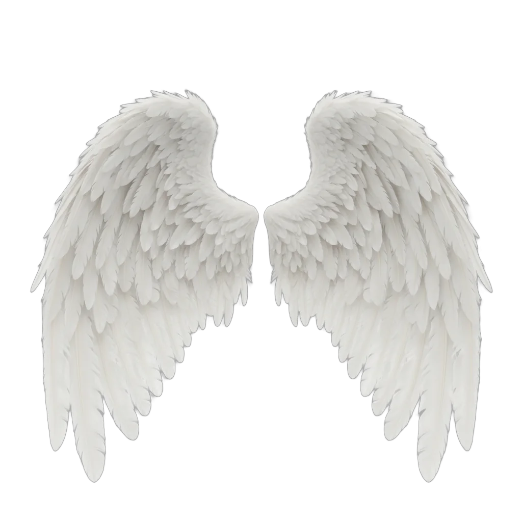 Angel Wings Detailed White Feathers