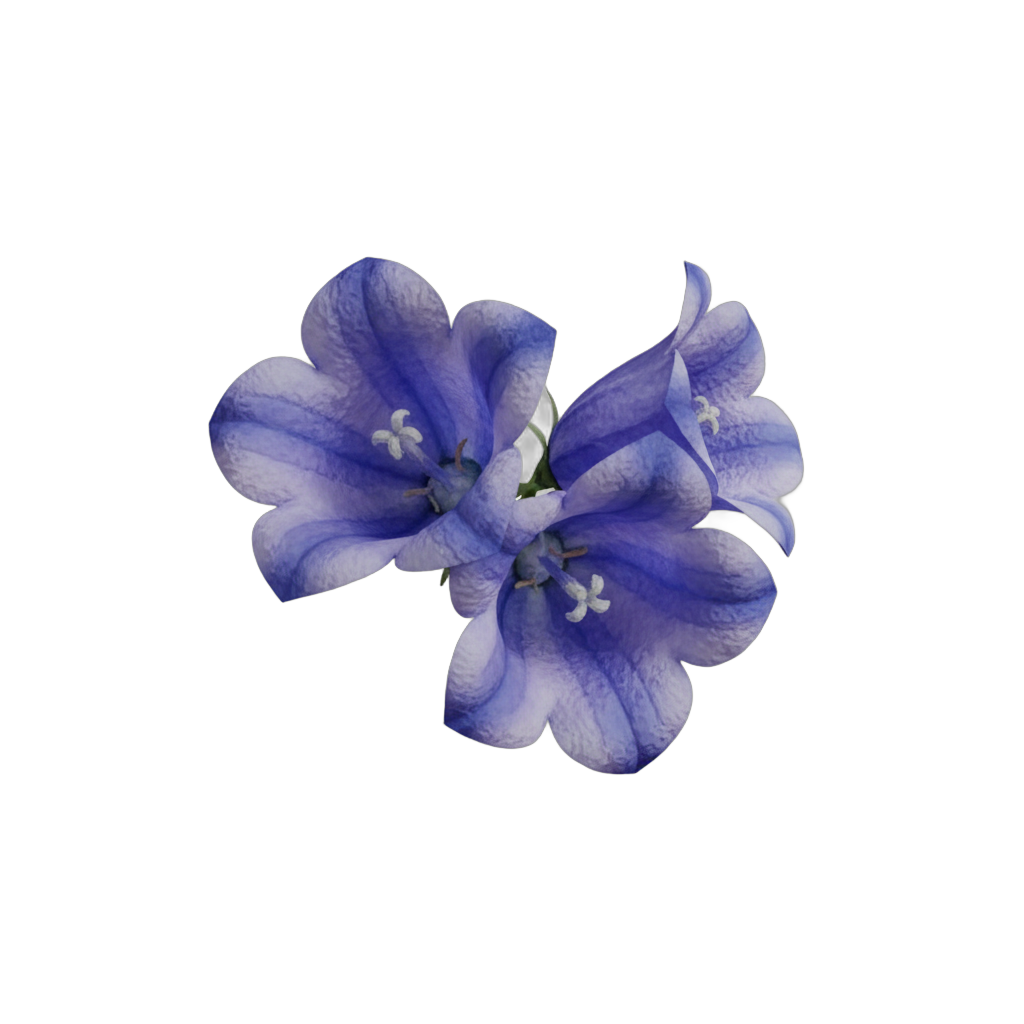 Watercolor Bellflowers