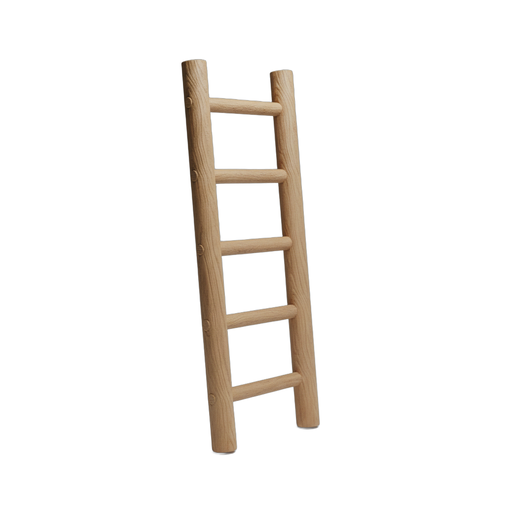 Rustic Wooden Climbing Ladder