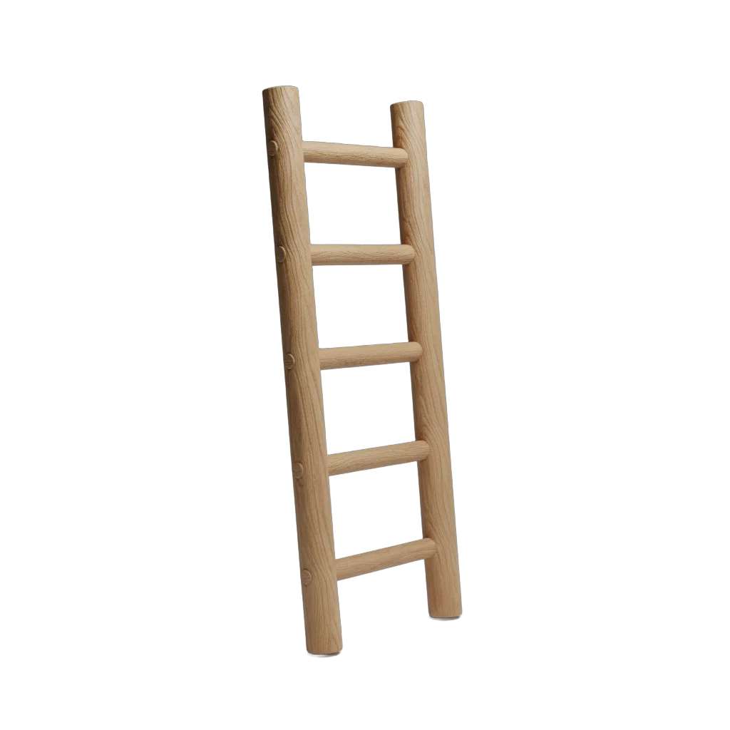 Rustic Wooden Climbing Ladder