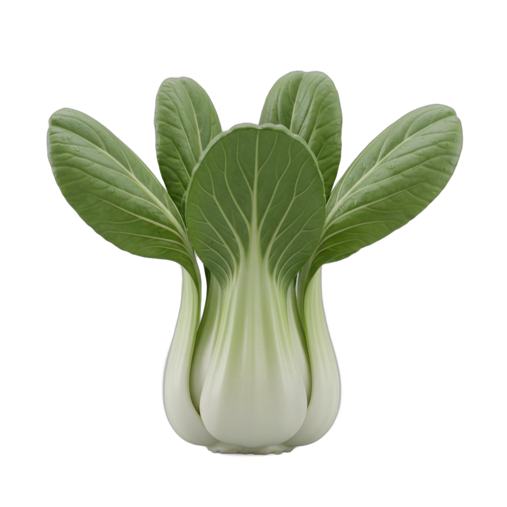 Fresh Bok Choy Vegetable