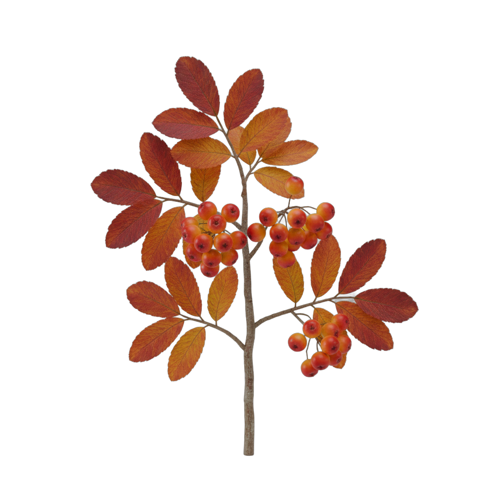 Autumn Berry Branch with Orange Berries