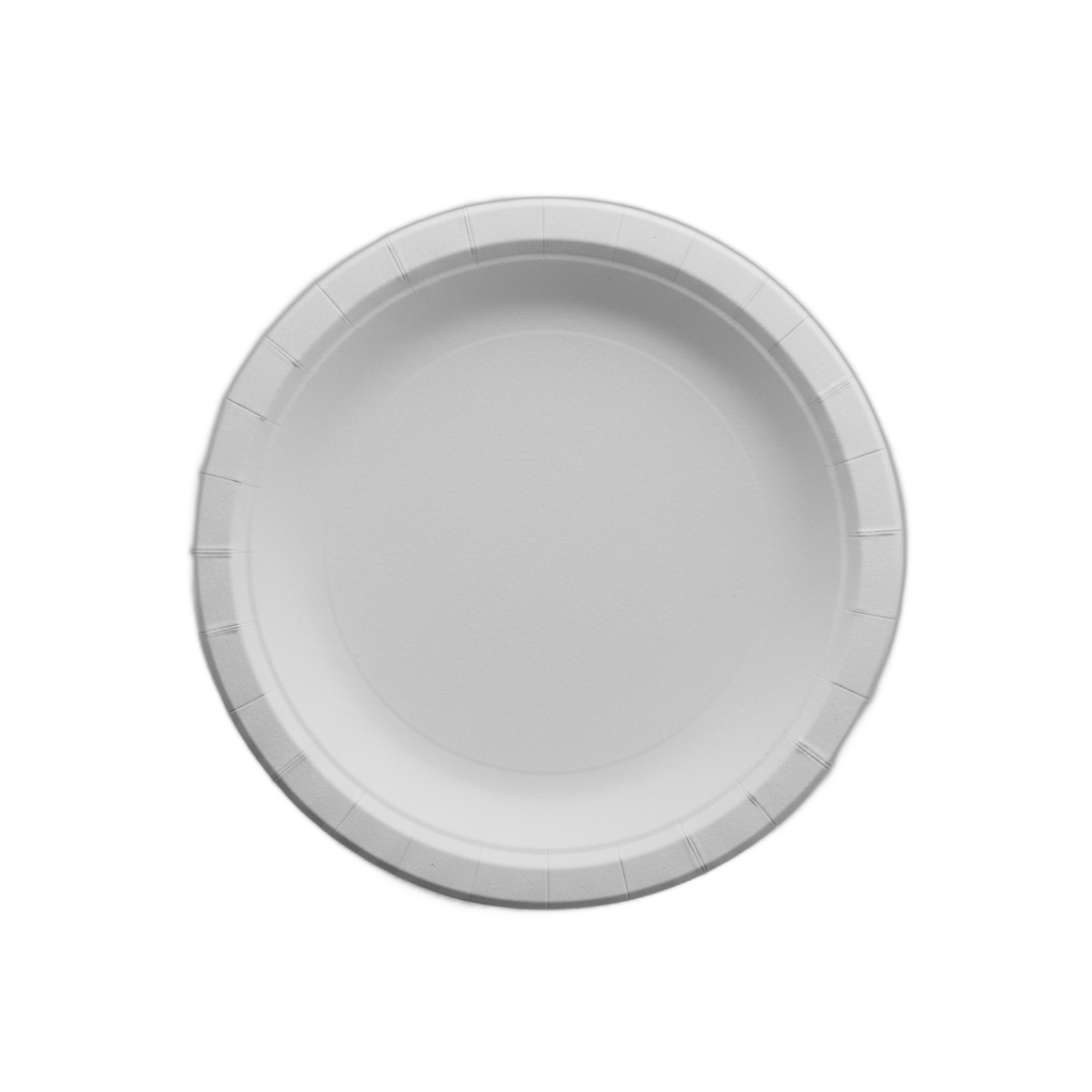 Disposable Paper Plate