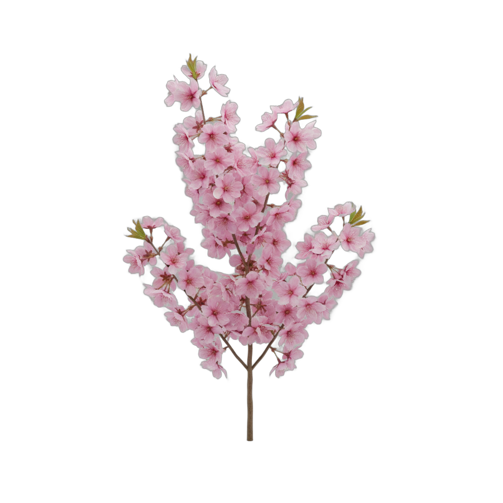 Pink Cherry Blossom Branch