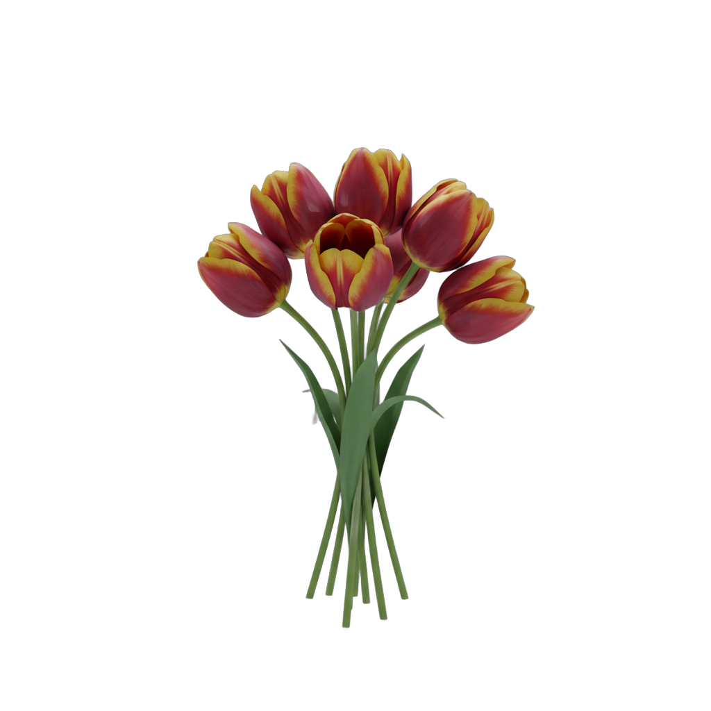 Botanical Tulip Bouquet