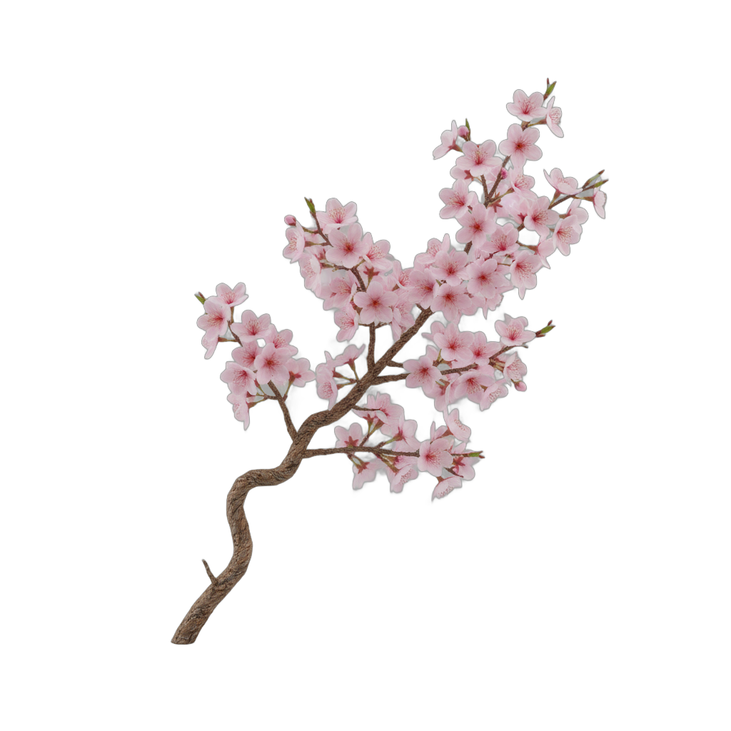 Cherry Blossom Branch with Pink Flowers