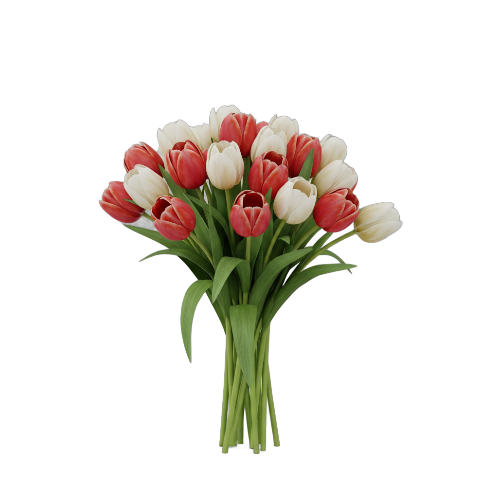 Tulip Bouquet with Red and White Flowers