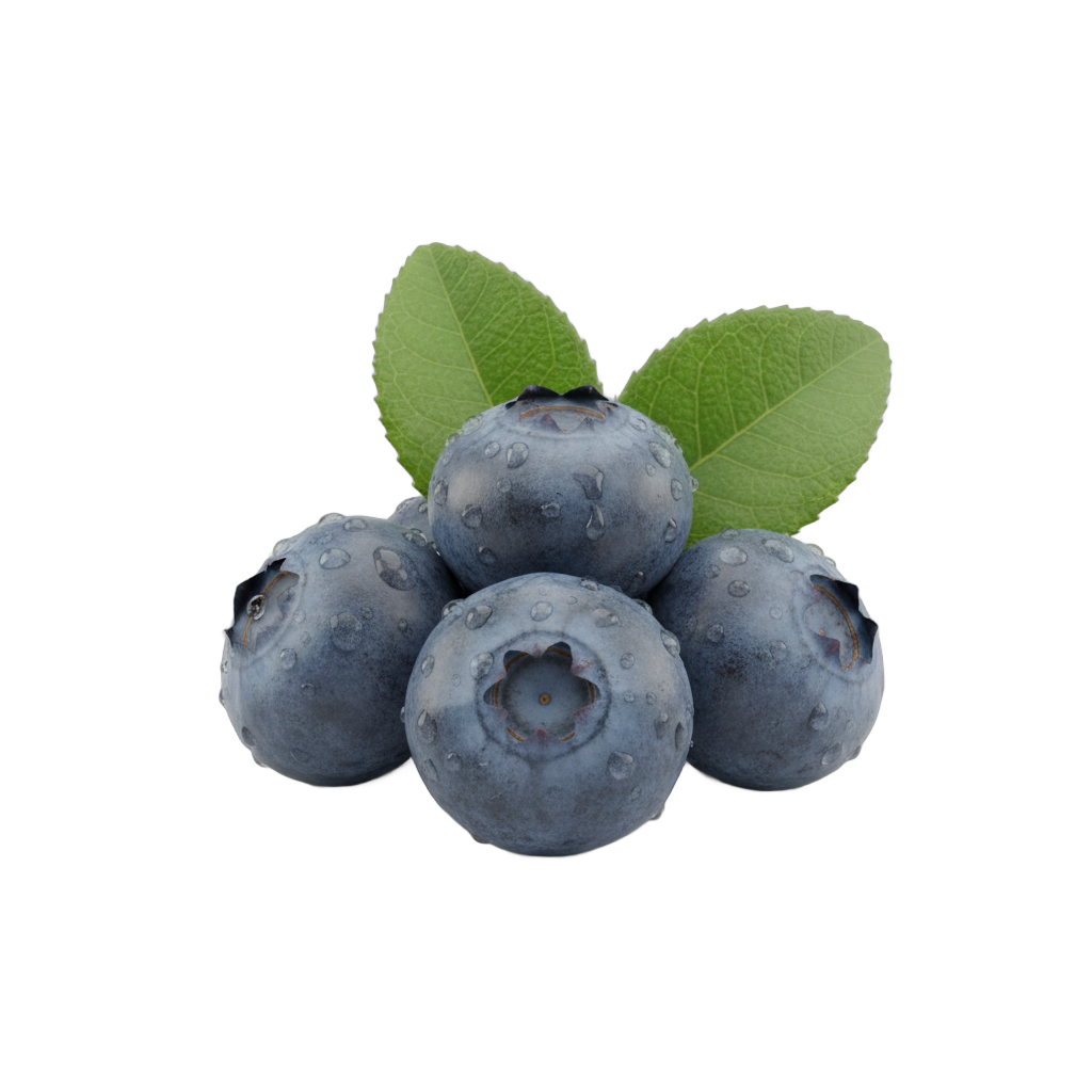 Fresh Blueberries with Leaves