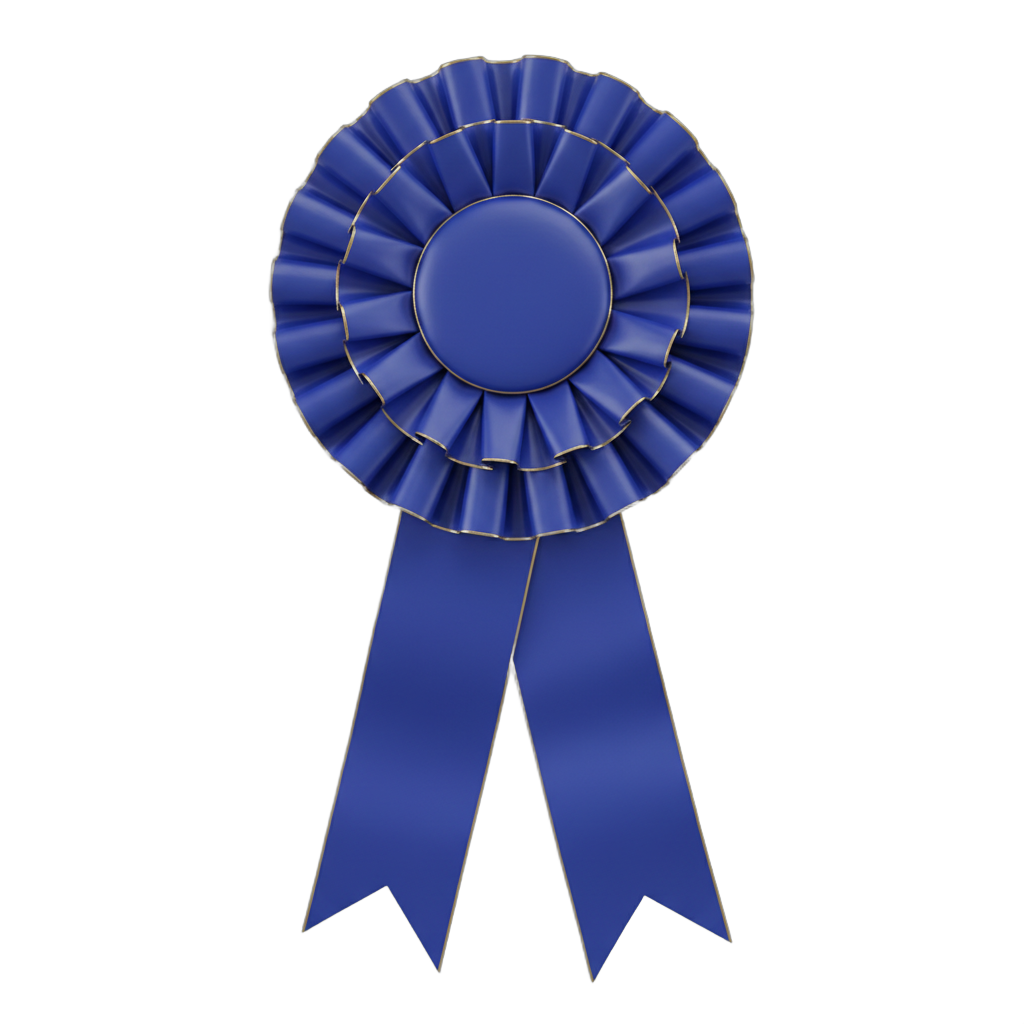 Blue Rosette Ribbon