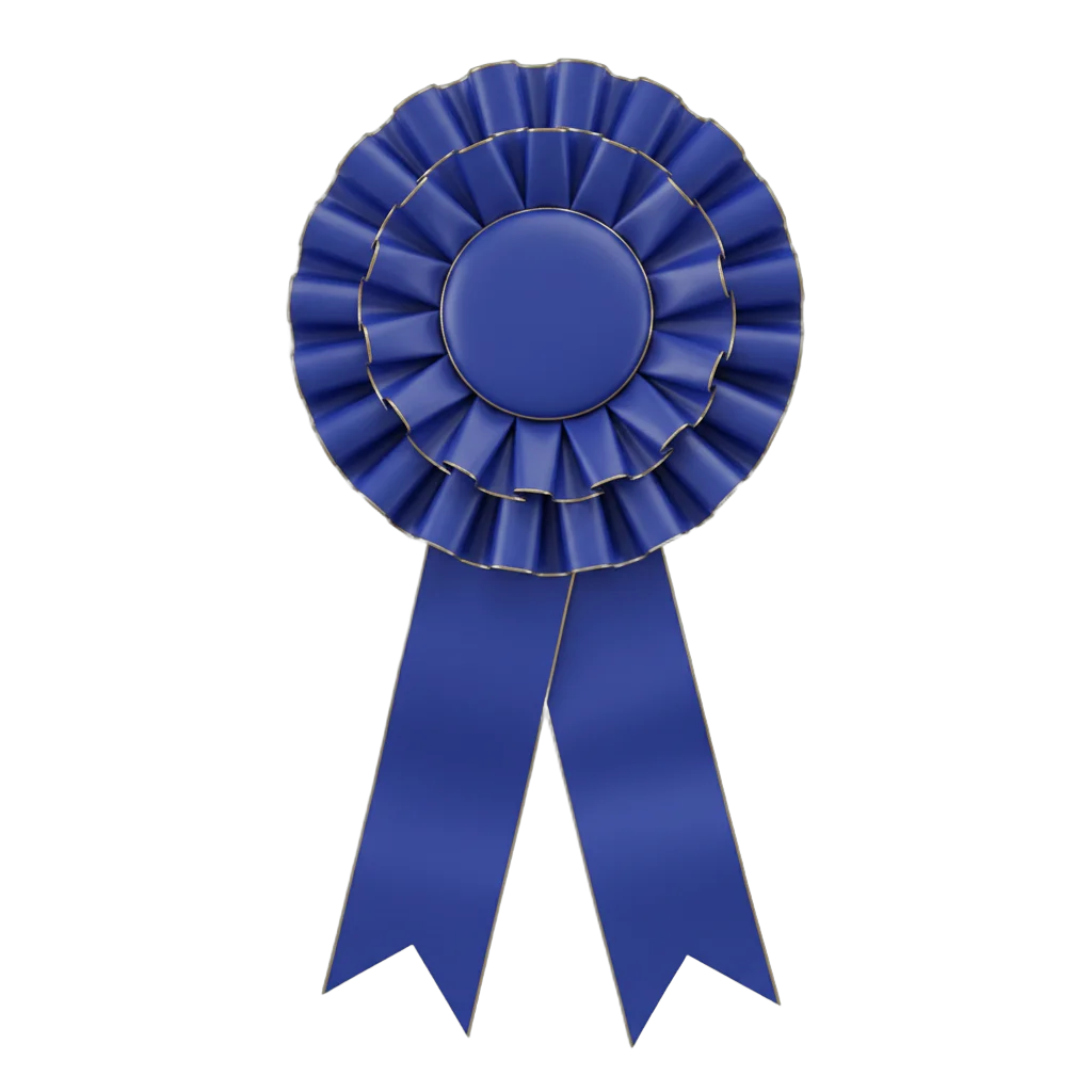 Blue Rosette Ribbon