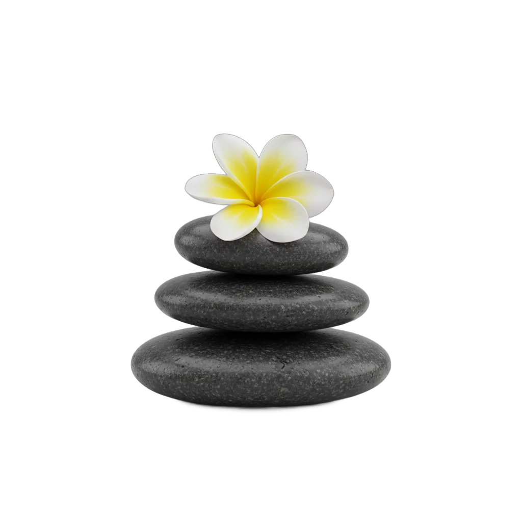 Zen Spa Stones with Frangipani Flower