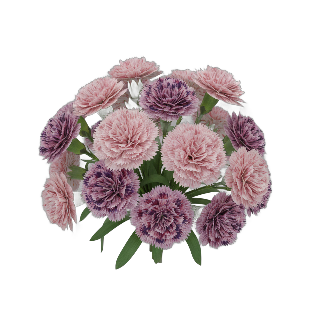 Carnation Flower Arrangement